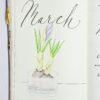March drawing bulbs in vase