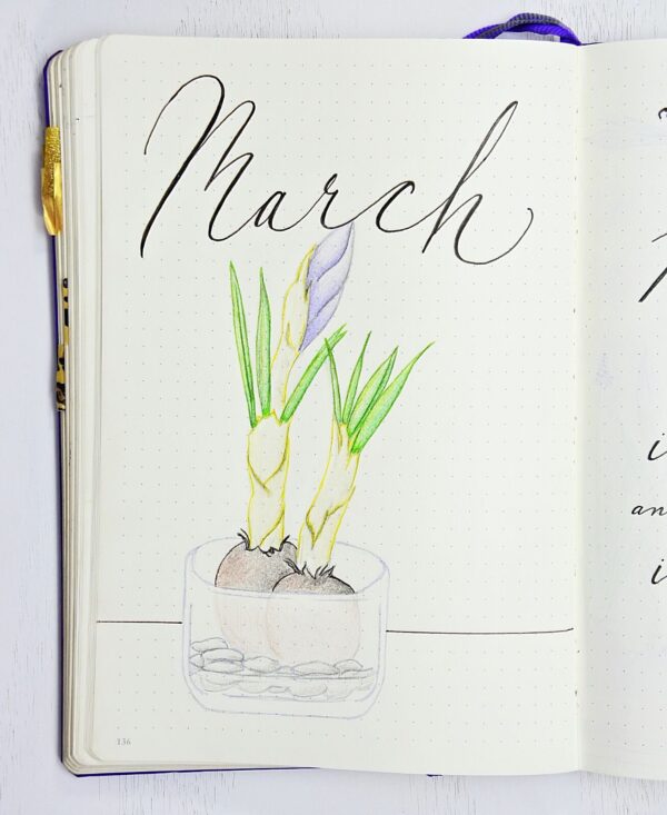 March drawing bulbs in vase