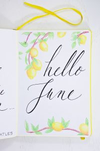 june bullet journal