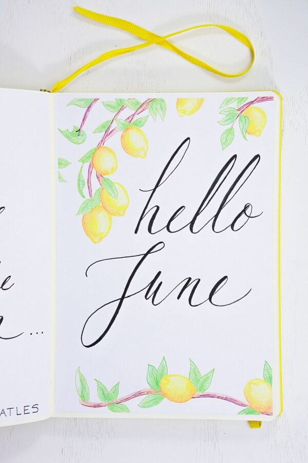 june bullet journal