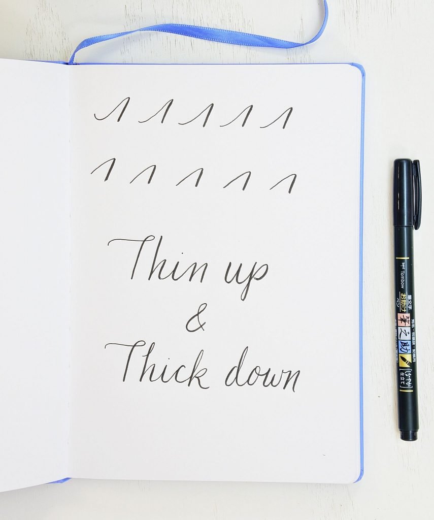 demonstration of thin upstrokes and thick downstrokes