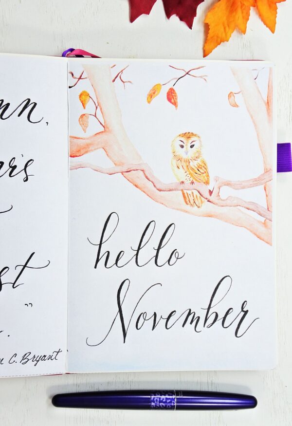 Amazing november cover page!