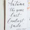 November Bullet Journal Quote
