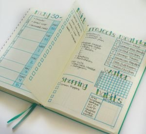 Over 20 Easy Bullet Journal Weekly Spread Ideas!