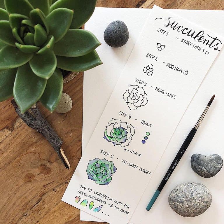 How to draw a succulent as an easy bullet journal doodle.