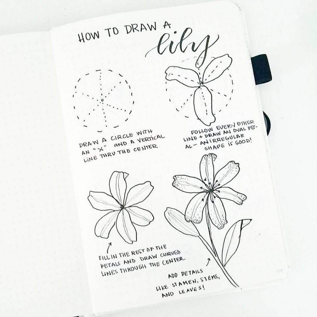How to draw a lily in a bullet journal.