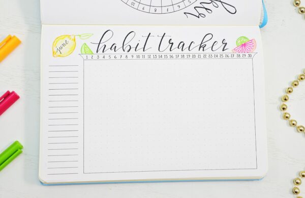 Citrus bullet journal habit tracker