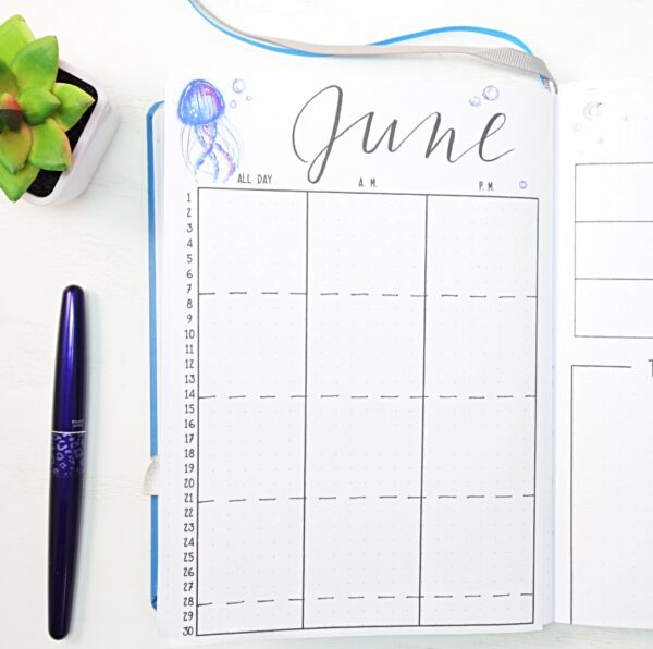 June bullet journal calendar