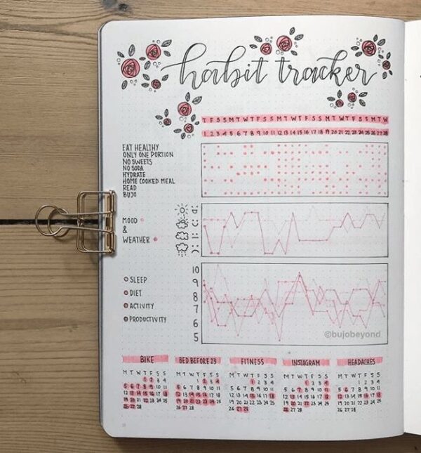 2024 Awesome Bullet Journal Habit Tracker Spreads! ⋆ Sheena of the Journal
